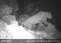 Dinar kooh protected area