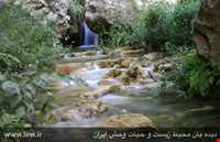 Dinar kooh protected area