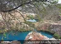 Dinar kooh protected area