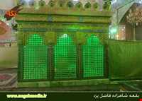 امامزاده شاهزاده فاضل