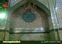 امامزاده شاهزاده فاضل