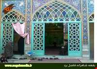 امامزاده شاهزاده فاضل