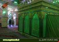 امامزاده شاهزاده فاضل