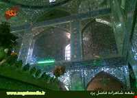 امامزاده شاهزاده فاضل