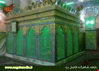 امامزاده شاهزاده فاضل