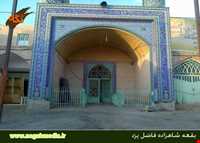 امامزاده شاهزاده فاضل