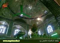 امامزاده شاهزاده فاضل