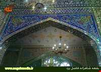 امامزاده شاهزاده فاضل