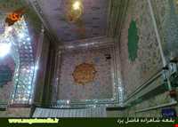 امامزاده شاهزاده فاضل