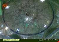 امامزاده شاهزاده فاضل