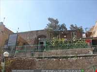 بی بی شهربانو