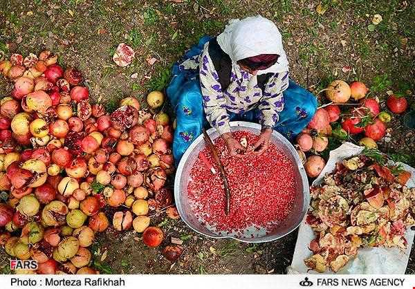 Sorkh anbooh Village