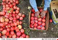 Sorkh anbooh Village