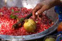 Sorkh anbooh Village