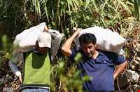 Sorkh anbooh Village