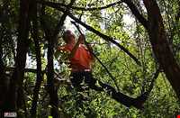 Sorkh anbooh Village