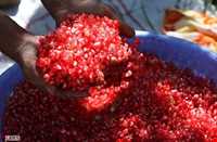 Sorkh anbooh Village