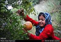 Sorkh anbooh Village