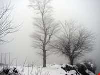 روستای سینه هونی