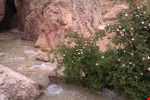 تنگه داستان