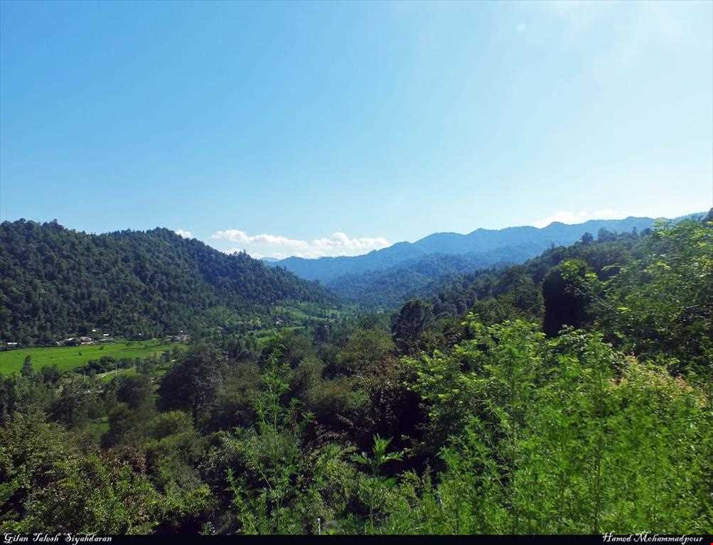 پارک جنگلی سیاهداران