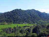 پارک جنگلی سیاهداران