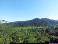 پارک جنگلی سیاهداران