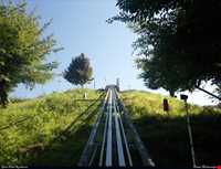 پارک جنگلی سیاهداران