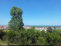 پارک جنگلی سیاهداران