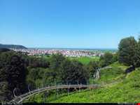 پارک جنگلی سیاهداران