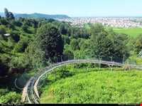 پارک جنگلی سیاهداران