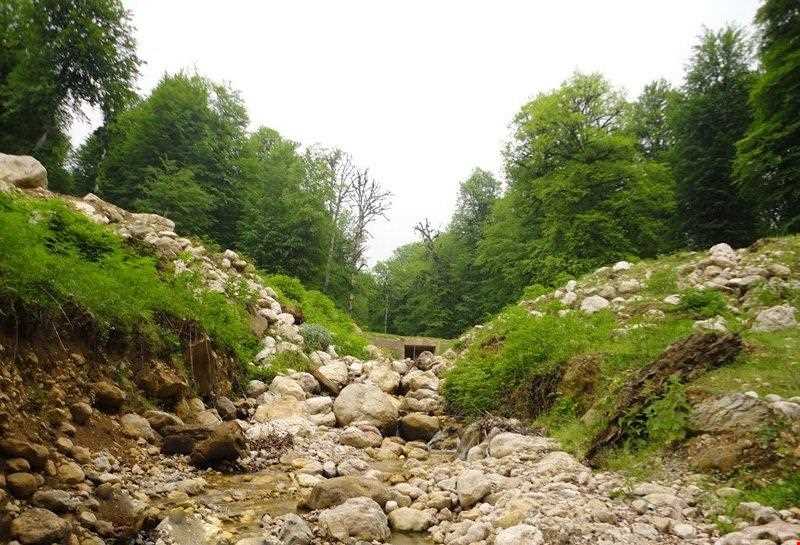 منطقه حفاظت شده سیاهرود