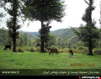 منطقه حفاظت شده سیاهرود