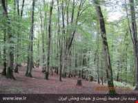 منطقه حفاظت شده سیاهرود