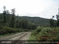 منطقه حفاظت شده سیاهرود