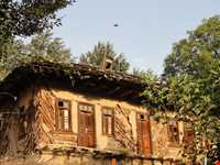 منطقه حفاظت شده سیاهرود