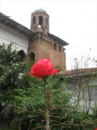 مسجد اکبریه