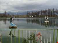 استخر و پارک پاشوران