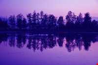 استخر و پارک پاشوران