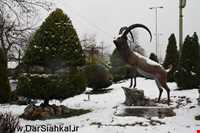 استخر و پارک پاشوران