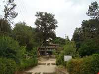 بقعه دوازده تن