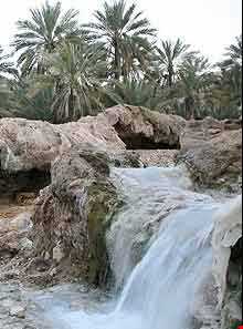 چشمه آب گرم گنو