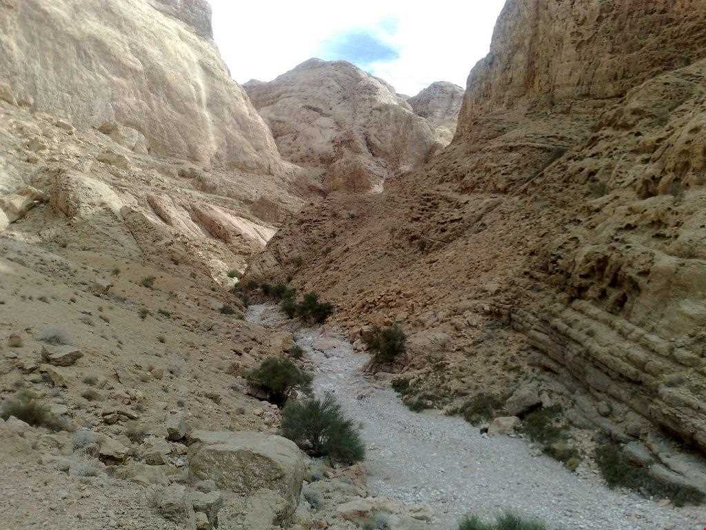 دره بیشه در