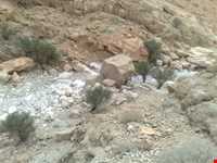 دره بیشه در