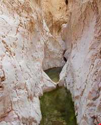 دره بیشه در