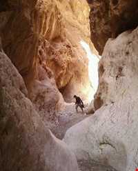 دره بیشه در