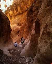 دره بیشه در