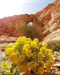 دره بیشه در