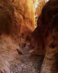 دره بیشه در