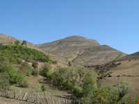 Omam castle ( Omam Tower )